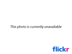 2053717449 6A481C7940 M